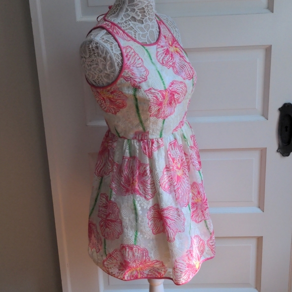 STUNNING Lilly Pulitzer Darcelle Dress Size 2 - Picture 4 of 16